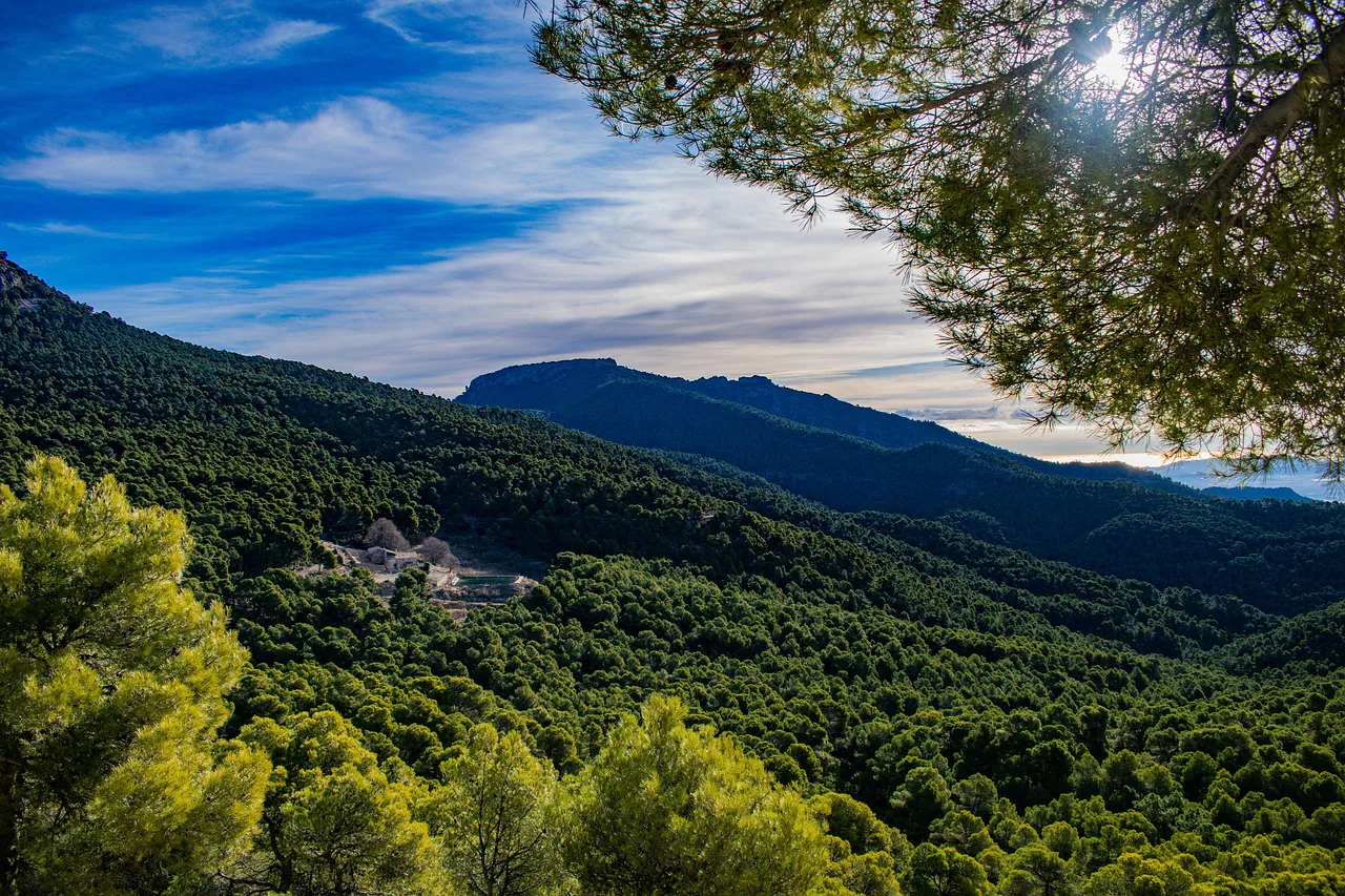 Montañas y valles cubiertos de pinos en el parque regional de Sierra Espuña